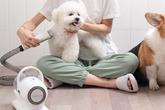 Sada na stříhání a péči o srst s vysavačem Neakasa P1 Pro